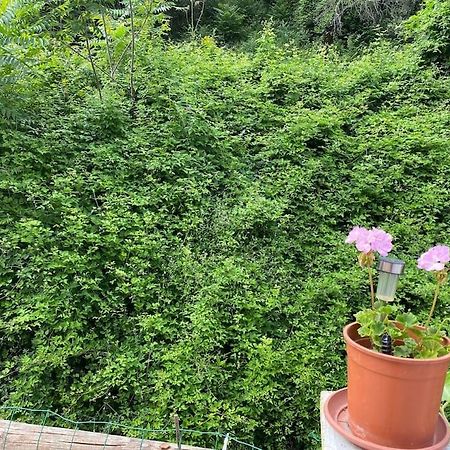 Villa Serenice - F2 Au Calme, Climatise, Wifi Et Parking Gratuit 外观 照片