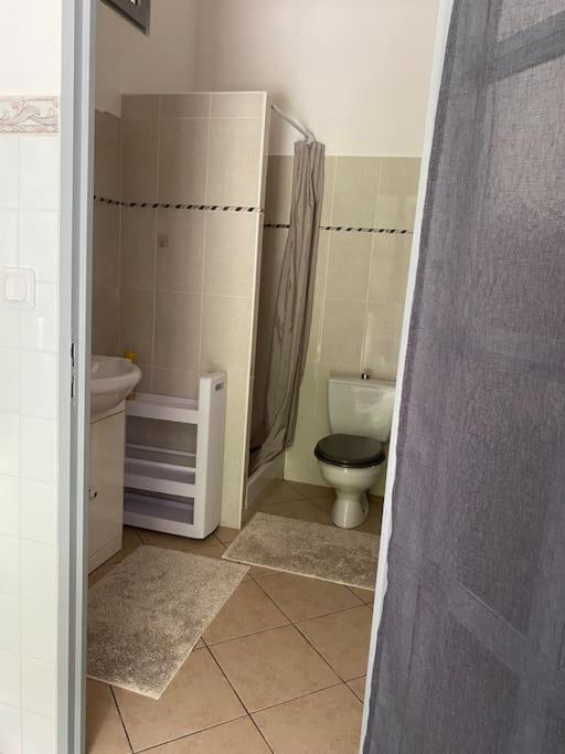 Villa Serenice - F2 Au Calme, Climatise, Wifi Et Parking Gratuit 外观 照片